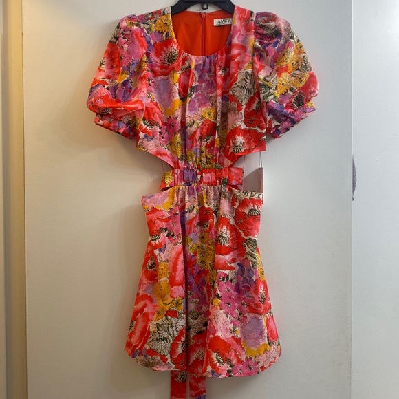 AMUR Cutout Dress - NWT - Picture 4 of 8